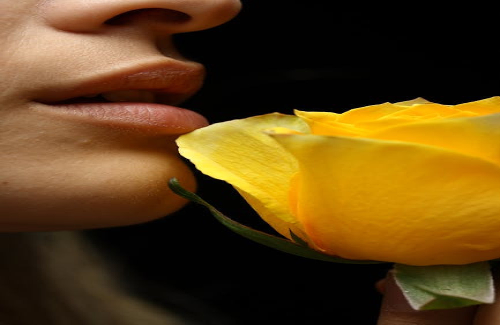 Wat te doen tegen schrale lippen in de zomer: oorzaken en oplossingen