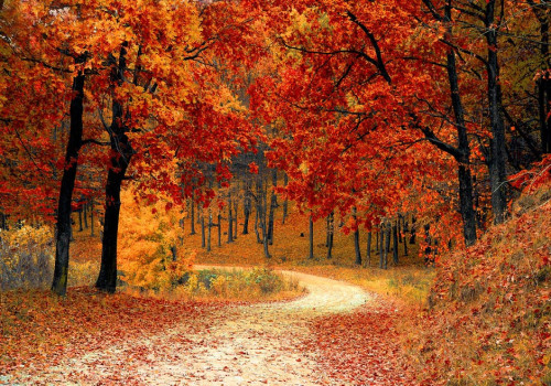 Herfstoutfits dragen? Draag laagjes kleding!